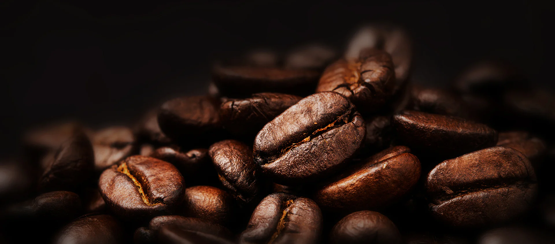 Fresh Roasted Specialty Coffee Delivered